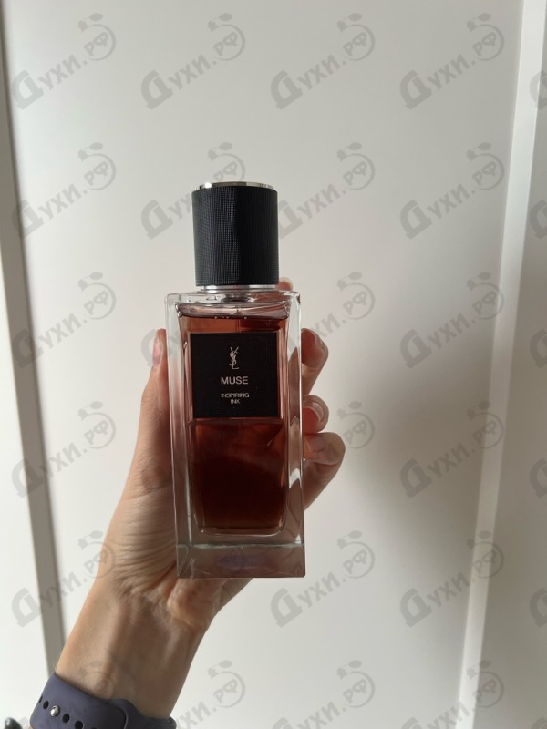 Отзывы Yves Saint Laurent Muse