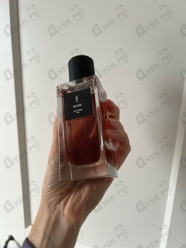 Купить Muse от Yves Saint Laurent