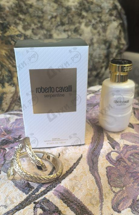Купить Serpentine 2025 от Roberto Cavalli