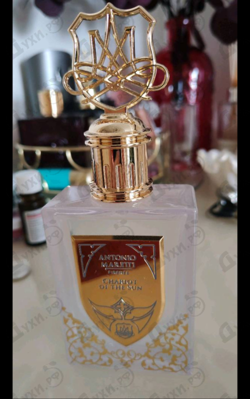 Купить Chariot Of The Sun от Antonio Maretti