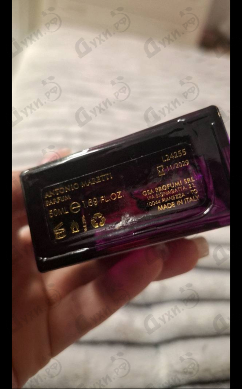 Купить Antonio Maretti Velvet Sands