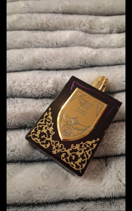 Купить Velvet Sands от Antonio Maretti
