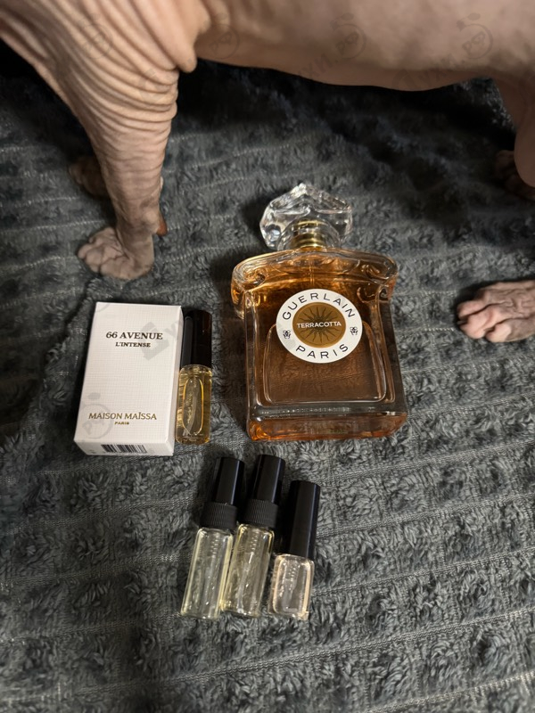 Парфюмерия Guerlain Terracotta Eau De Toilette