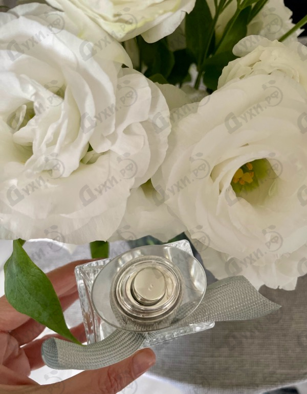 Духи Rose Naturelle от Chloe