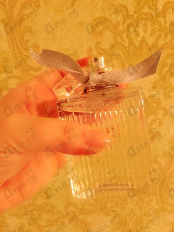 Купить Rose Naturelle от Chloe