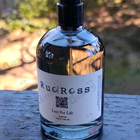 Отзыв RudRoss Lust For Life