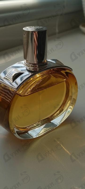 Парфюмерия Barenia Intense от Hermes