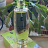 Парфюмерия Magnolia Dreams от Ajmal