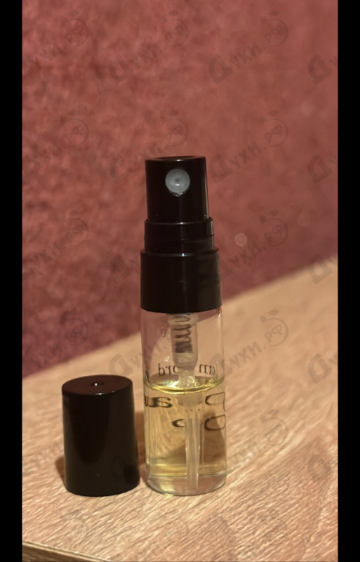 Парфюмерия Oud Voyager от Tom Ford