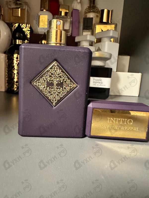 Отзывы Initio Can't Get Enough