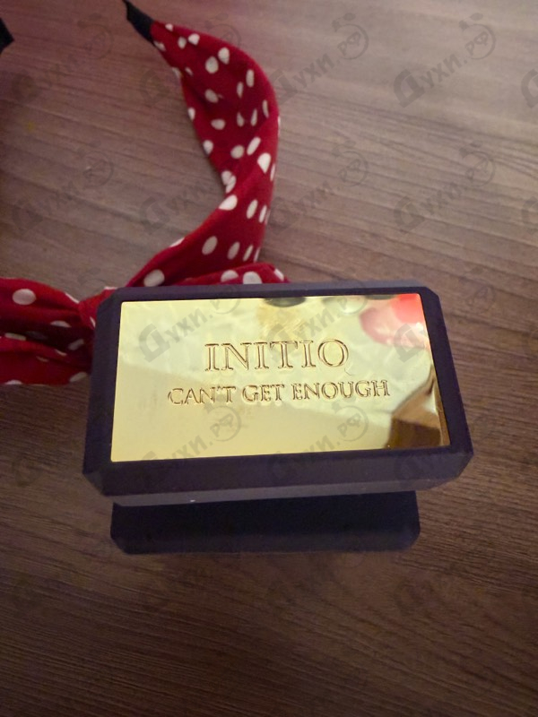 Купить Initio Can't Get Enough