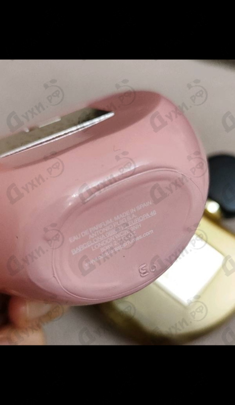 Купить Her Secret Pink Absolu от Antonio Banderas