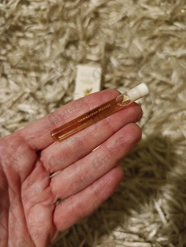 Отзыв Gucci Osmanthus Nectar