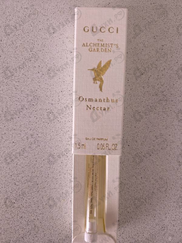 Отзыв Gucci Osmanthus Nectar