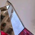 Купить Angel Nova Eau De Parfum Fruitee от Thierry Mugler