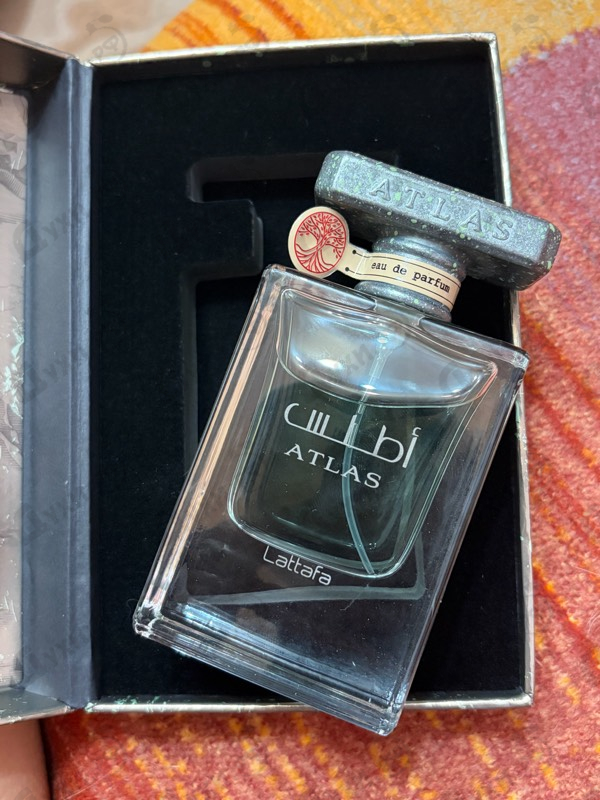 Купить Lattafa Perfumes Atlas