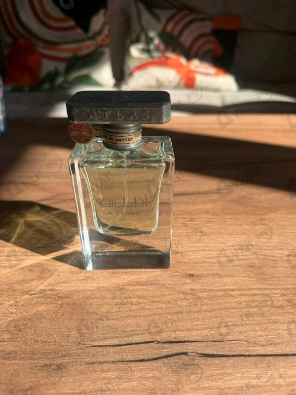 Отзыв Lattafa Perfumes Atlas