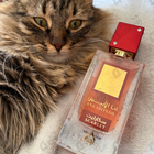 Отзывы Lattafa Perfumes Ana Abiyedh Scarlet