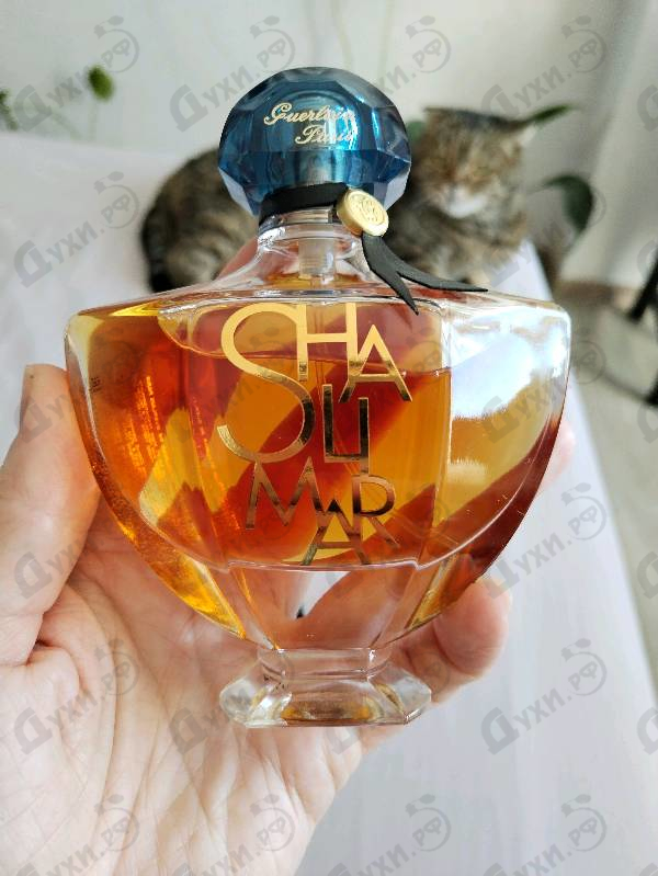 Парфюмерия Shalimar L'Essence от Guerlain