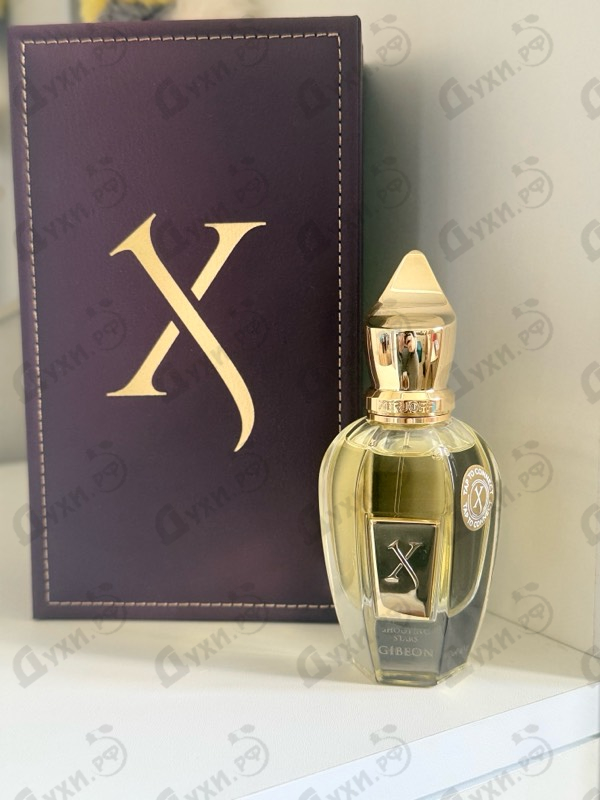 Купить Xerjoff Gibeon