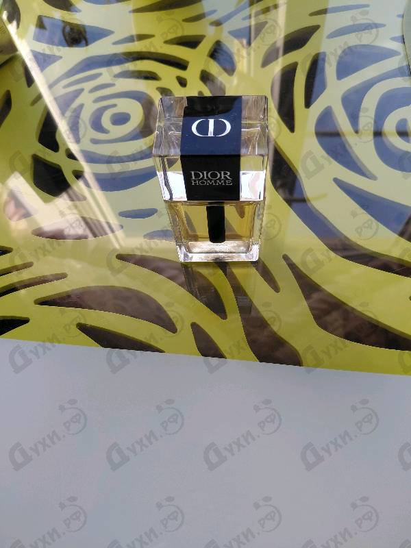 Купить Christian Dior Homme 2025