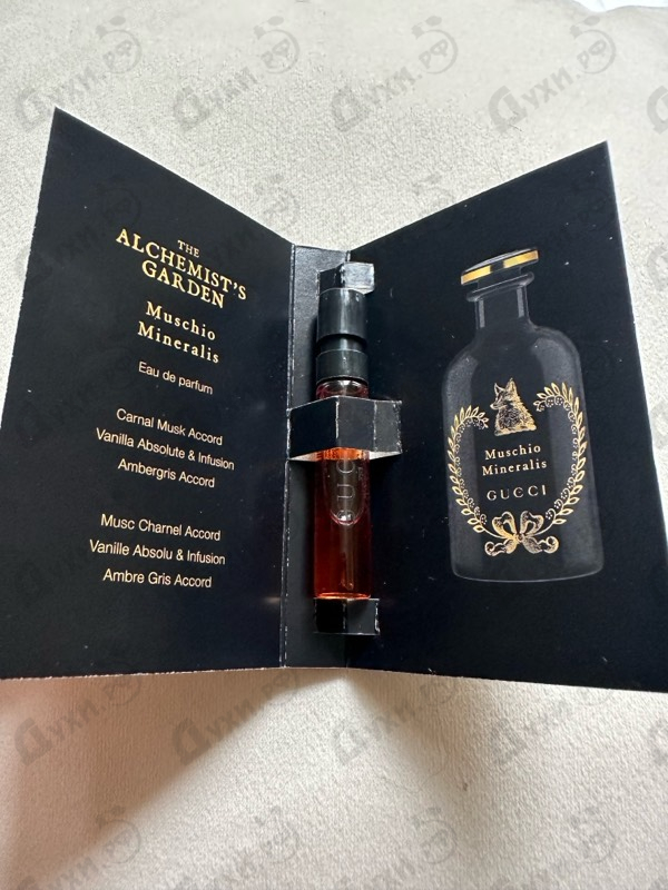 Духи Muschio Mineralis от Gucci