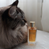 Парфюмерия Magie Noire от Lancome Отзыв Lancome Magie Noire