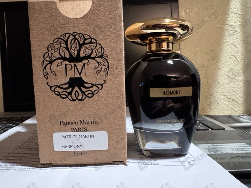 Купить Harmony от Patrice Martin