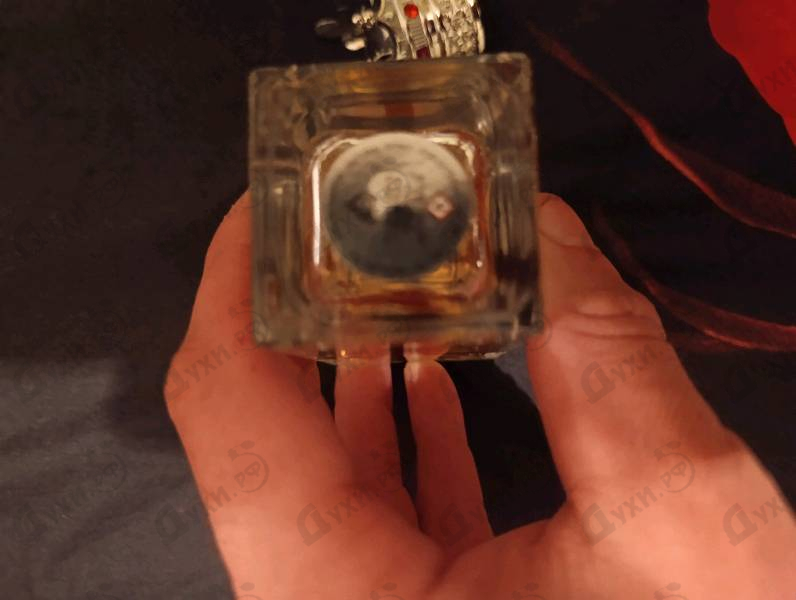 Отзыв Lattafa Perfumes Dynasty
