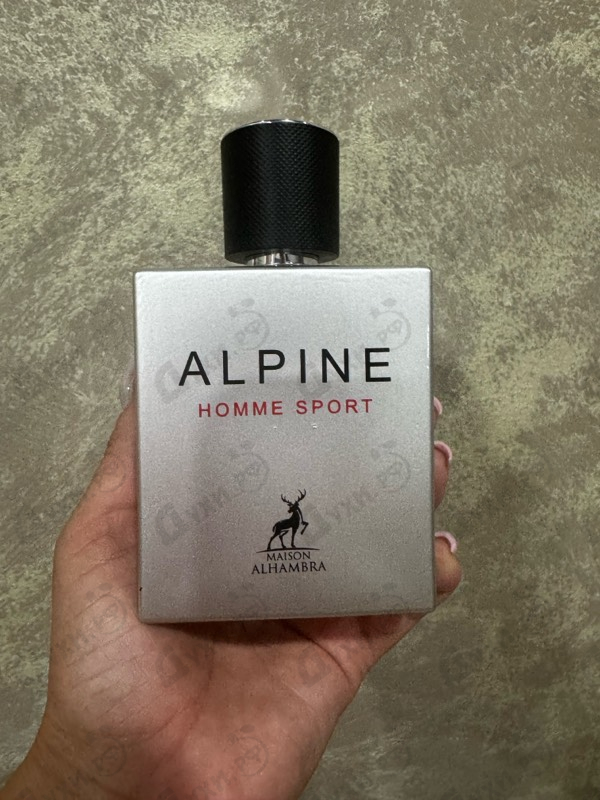 Отзывы Maison Alhambra Alpine Homme Sport