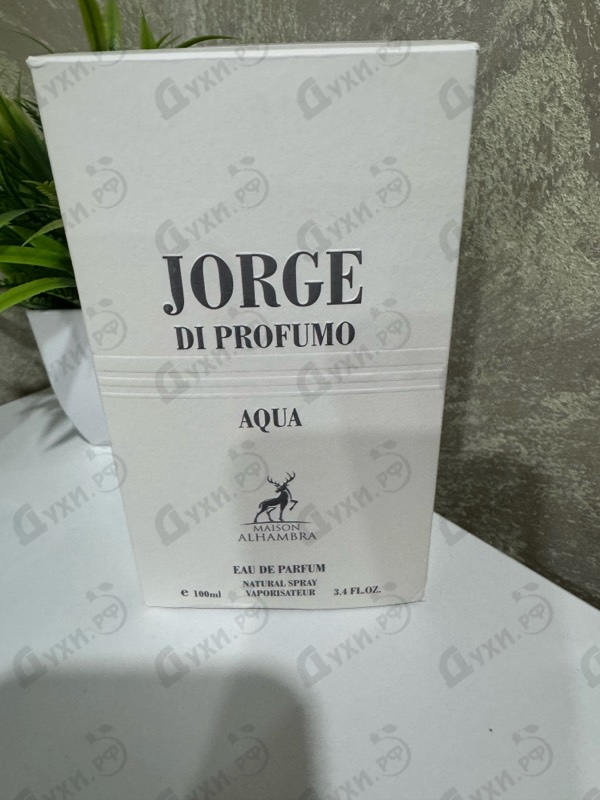 Купить Jorge Di Profumo Aqua от Maison Alhambra