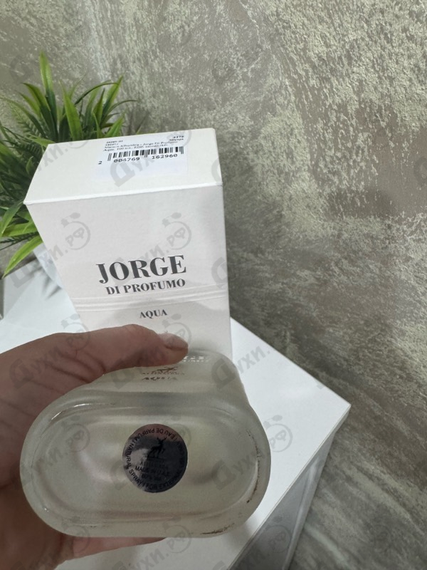 Купить Maison Alhambra Jorge Di Profumo Aqua