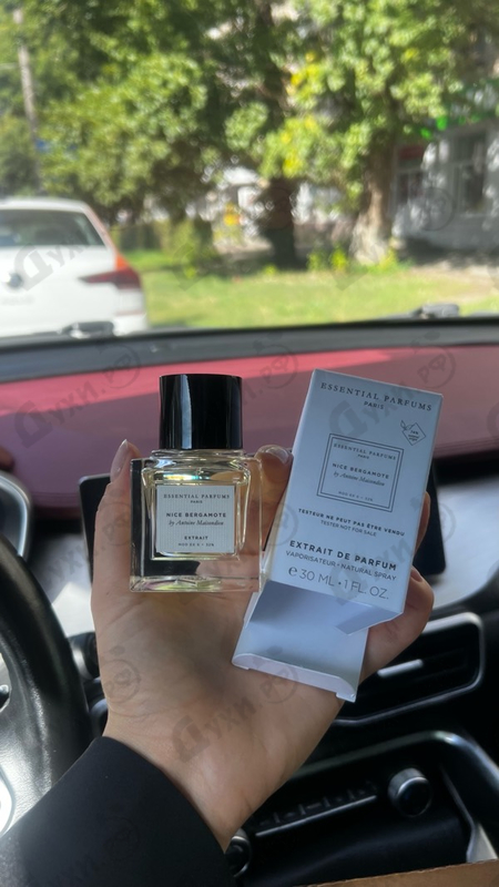 Духи Nice Bergamote Extrait от Essential Parfums