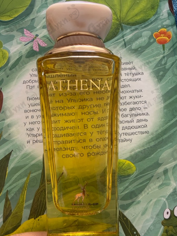 Купить Athena от Maison Alhambra