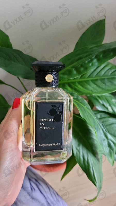 Отзывы Fragrance World Fresh As Citrus