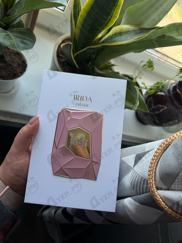 Купить French Avenue Irida