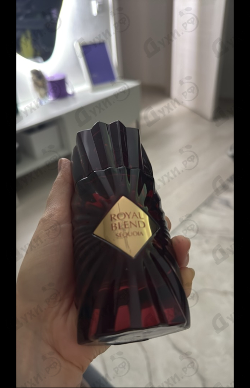 Отзывы French Avenue Royal Blend Sequoia
