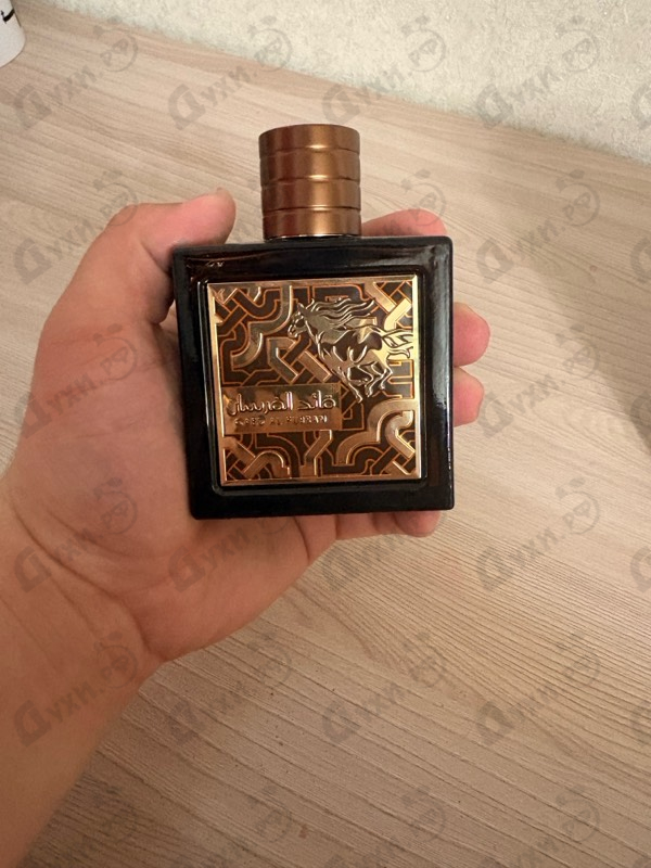 Отзывы Lattafa Perfumes Qaed Al Fursan Untamed