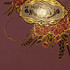Отзывы Zimaya Mazharia