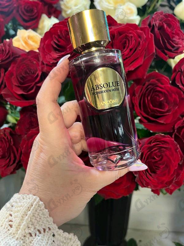Купить Forbidden Rose от Lancome
