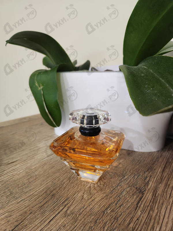 Парфюмерия Tresor от Lancome