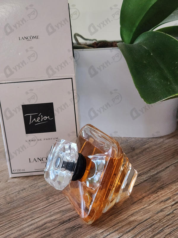 Купить Lancome Tresor