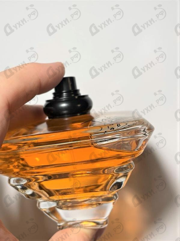 Купить Lancome Tresor