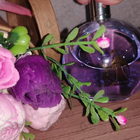 Парфюм Lanvin Eclat D'arpege