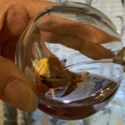 Духи Eclat D'arpege от Lanvin