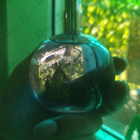 Парфюм Lanvin Eclat D'arpege