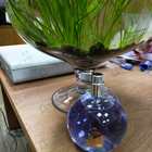 Отзывы Lanvin Eclat D'arpege