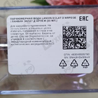 Парфюм Lanvin Eclat D'arpege