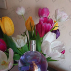 Духи Eclat D'arpege от Lanvin