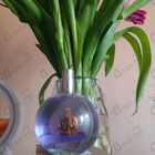 Парфюм Lanvin Eclat D'arpege